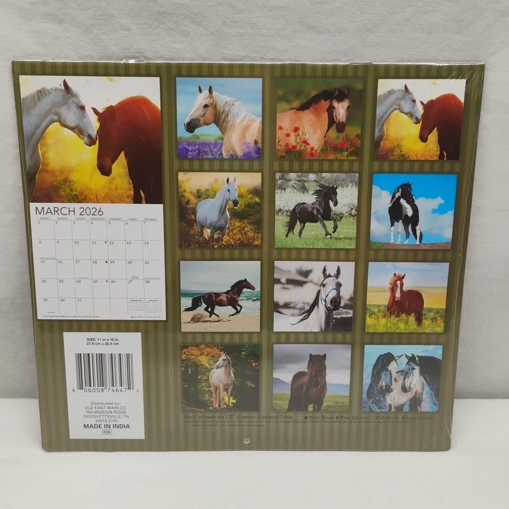 2026 HORSES 16 MONTH WALL ‎ CALENDAR 11